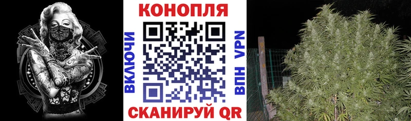 Бошки Шишки семена  купить наркотики сайты  Руза 
